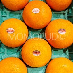 Japanese Ehime Benimadonna Oranges (Orange Box)