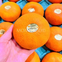 Japanese Ehime Queen Splash Mandarin Orange