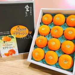 Japanese Ehime Queen Splash Mandarin Orange Gift Box 3kg 1