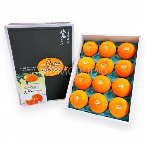 Japanese Ehime Queen Splash Mandarin Orange Gift Box 3kg
