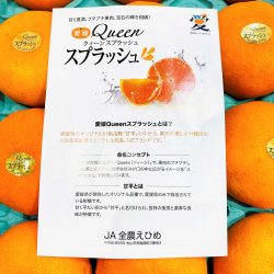 Japanese Ehime Queen Splash Mandarin Orange brochure back
