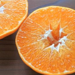 Japanese Ehime Queen Splash Mandarin Orange cross section
