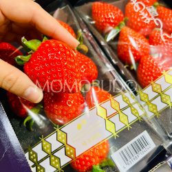 Japanese Saitama Amarin Ichigo (Strawberry) Black Tray