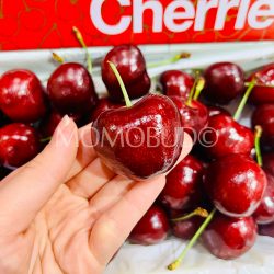 Tasmanian Tamara Red Cherry 38mm+