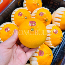 Jeju Cheonhyehyang Heaven Scent Orange Jeju Cheonhyehyang Heaven Scent Orange
