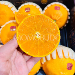Jeju Cheonhyehyang Heaven Scent Orange cross section Jeju Cheonhyehyang Heaven Scent Orange cross section