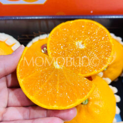 Jeju Cheonhyehyang Heaven Scent Orange slice Jeju Cheonhyehyang Heaven Scent Orange slice