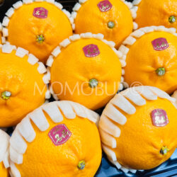 Jeju Cheonhyehyang Heaven Scent Oranges Jeju Cheonhyehyang Heaven Scent Oranges