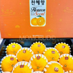 Jeju Jesmerize Cheonhyehyang Heaven Scent Orange Gift Box 3kg 1