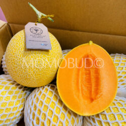Malaysia Achigold Red Mas Melon cross section
