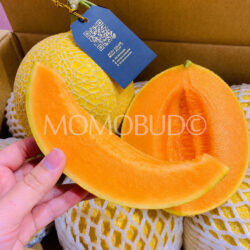 Malaysia Achigold Red Mas Melon slice