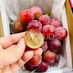 China Nanpin Flame Queen Nina Red Wine Grapes cross section