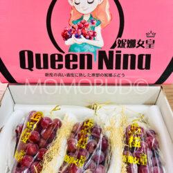 China Premium JiangXinJi Queen Nina Grapes Box (1.5kg)