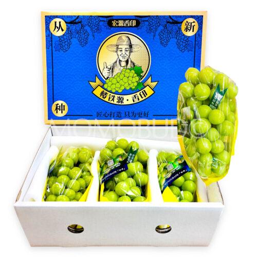China Premium LouTieYuan Shine Muscat Grapes Box (2.5kg)