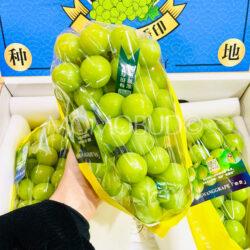 China Premium LouTieYuan Shine Muscat Grapes bunch