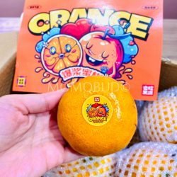 China Wokan Tangerine China Wokan Tangerine