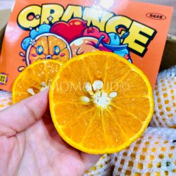 China Wokan Tangerine cross section 1 China Wokan Tangerine cross section 1