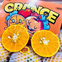 China Wokan Tangerine cross section China Wokan Tangerine cross section