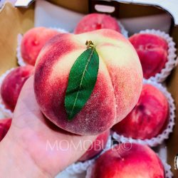 Japanese Yamanashi Misato White Peach