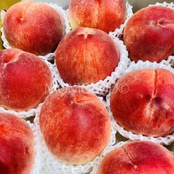 Japanese Yamanashi Misato White Peaches