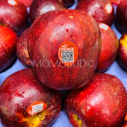 NZ Prince Kingsbeer Red Apple