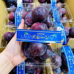 Nagano Santas Prune packets Nagano Santas Prune packets