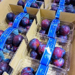 Nagano Santas Prunes Nagano Santas Prunes