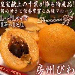 Boshu Obusa Biwa (Loquat)