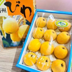 Japanese Boshu Loquat Gift Box 1kg 1