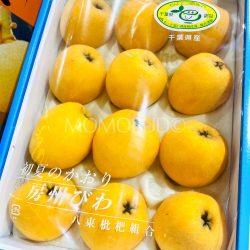 Japanese Boshu Loquats