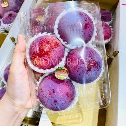 Japanese Kiyou plum packet 1