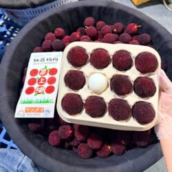 Premium Zhejiang Xianju Bayberries (XL 300g 12pcs punnet)