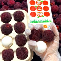 Premium Zhejiang Xianju Bayberries (XL 300g 12pcs punnet) on hand