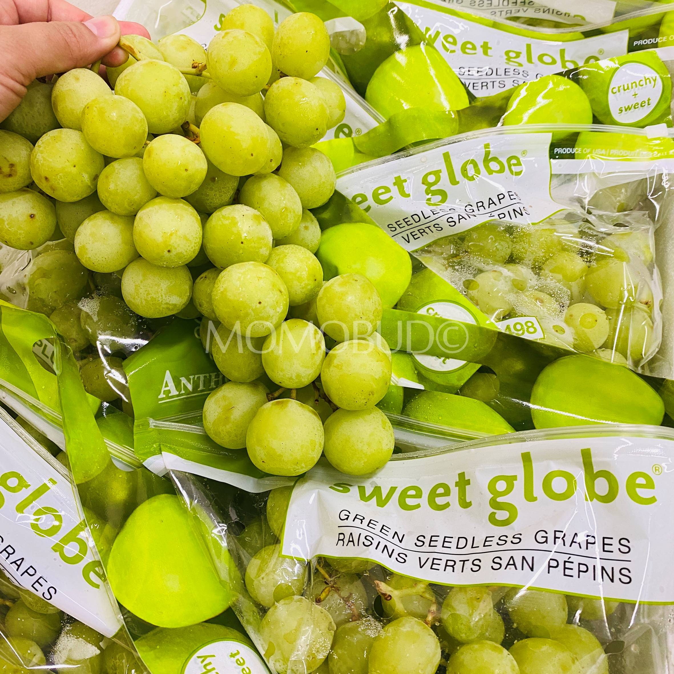 Sweet Globe Green Seedless Grapes 1kg MomoBud Sweet Globe Green Seedless Grapes 1kg MomoBud
