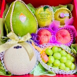 Mid-Autumn Premium Fruit & Mooncake Hamper B 2026 2
