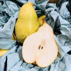 Japanese Nagano Margueritte Marilla Western Pear cross section 1