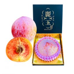 Japanese Reigyoku Shinano Pearl Red Plum Gift Box