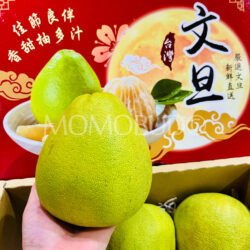 Taiwan Premium 60 Years Old Tree Madou Wendan Pomelo
