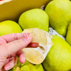 Taiwan Premium 60 Years Old Tree Madou Wendan Pomelo pulps