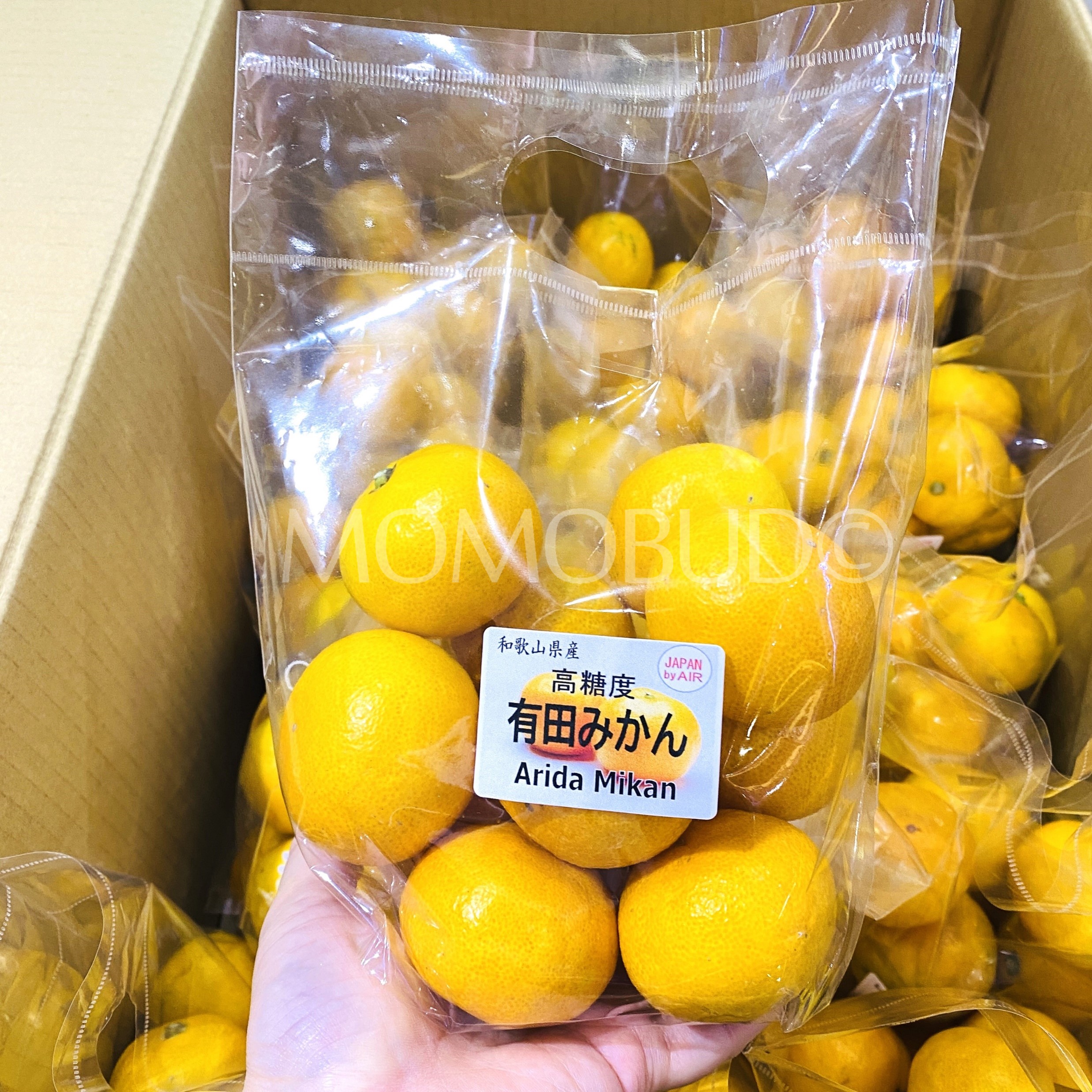 air-flown-japanese-arida-mikan-pack-600g-momobud