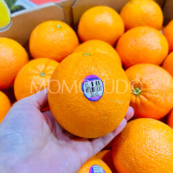 Australian Sunkist Extremely Sweet Cara Cara Navel Orange
