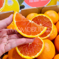 Australian Sunkist Extremely Sweet Cara Cara Navel Orange slice