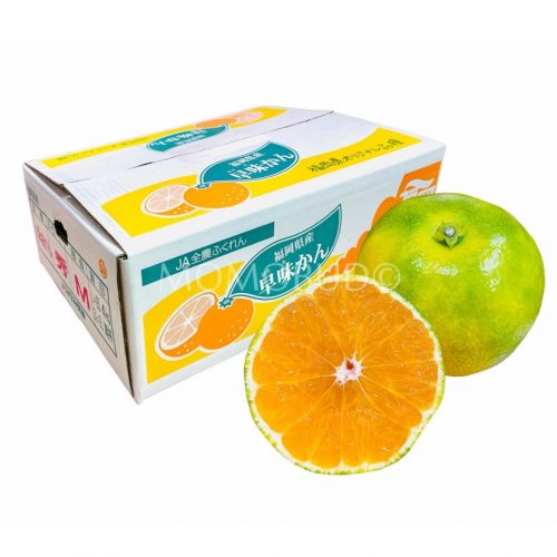 Japanese Fukuoka Hayamikan (Mandarin Orange) Box 4kg