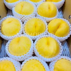 Japanese Kogetsu Golden Peaches (Large)