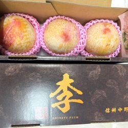 Nagano Shinano Pearl Plum Gift Box 1kg