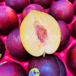 USA Dino Brand Flavor Burst Pluot cross section