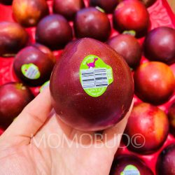 USA Dino Brand Flavor Burst Pluot on hand