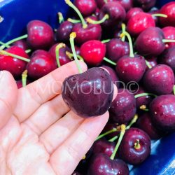 Australian Valley Fresh Sylvia Red Cherry 30-32mm
