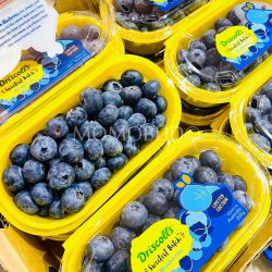 Driscoll’s Sweetest Batch Blueberry (200g punnets)