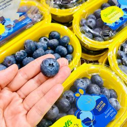 Driscoll’s Sweetest Batch Blueberry